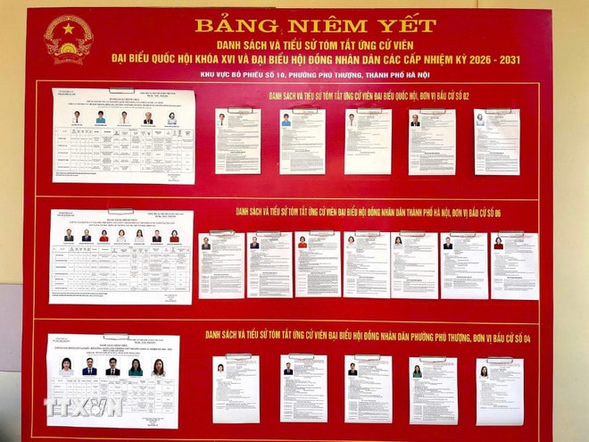 Số người ứng cử trong danh sách chính thức những người ứng cử đại biểu Quốc hội, đại biểu Hội đồng nhân dân ở mỗi đơn vị bầu cử phải đáp ứng yêu cầu nào?