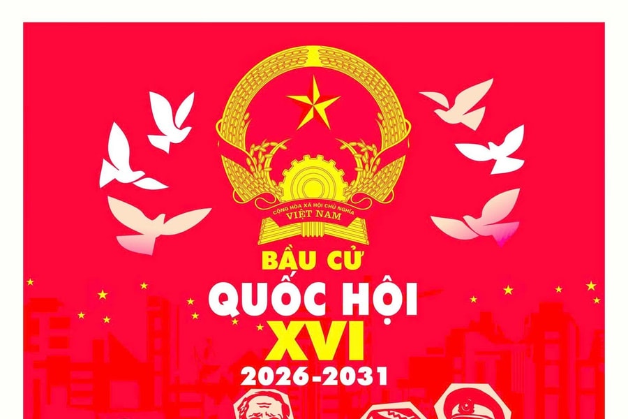Các khiếu nại, tố cáo về người ứng cử được thực hiện như thế nào?