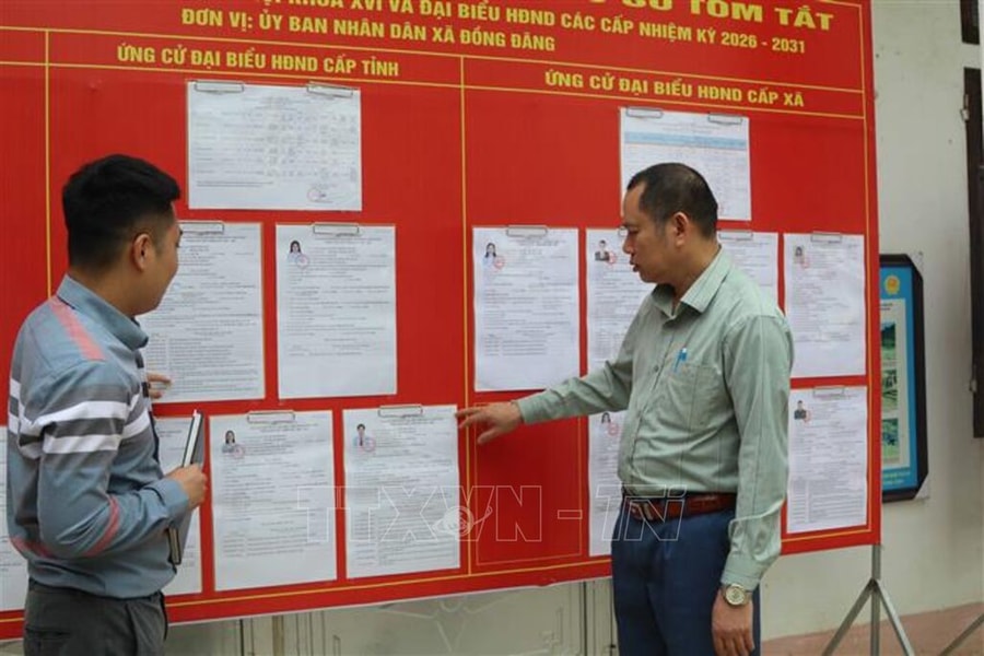Các trường hợp nào bị xóa tên trong danh sách chính thức những người ứng cử đại biểu Quốc hội, ứng cử đại biểu Hội đồng nhân dân?