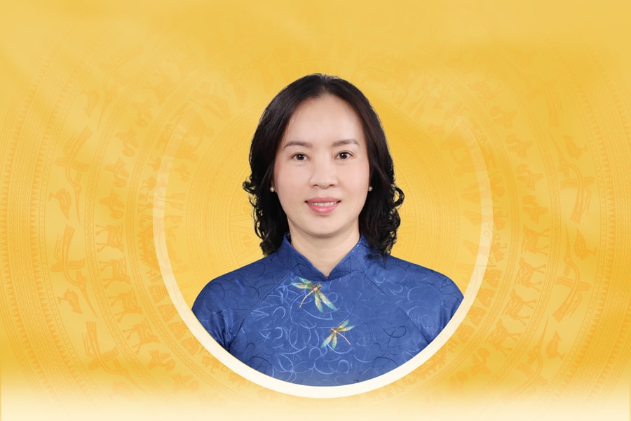 Tiểu sử tóm tắt và chương trình hành động của người ứng cử đại biểu Quốc hội khóa XVI tỉnh Bắc Ninh Nguyễn Thị Kim Anh