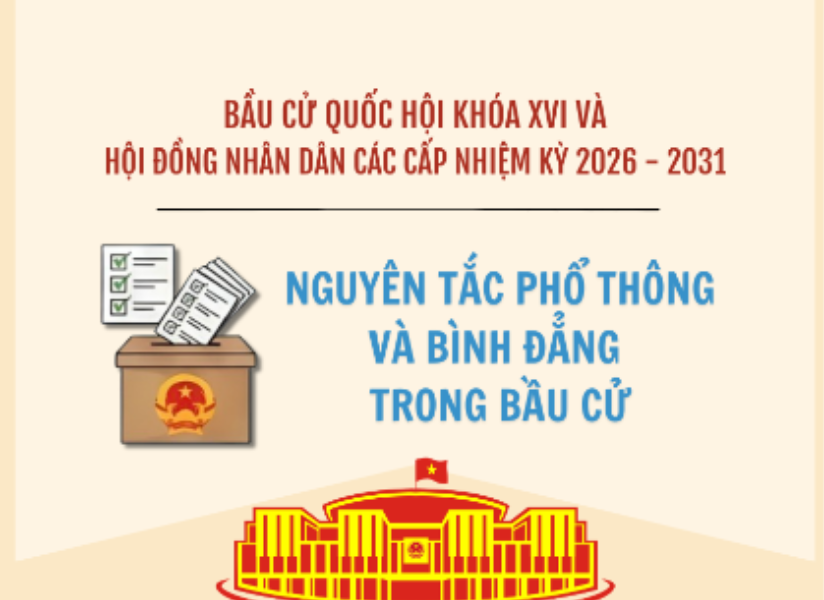 [Infographic] Nguyên tắc phổ thông và bình đẳng trong bầu cử