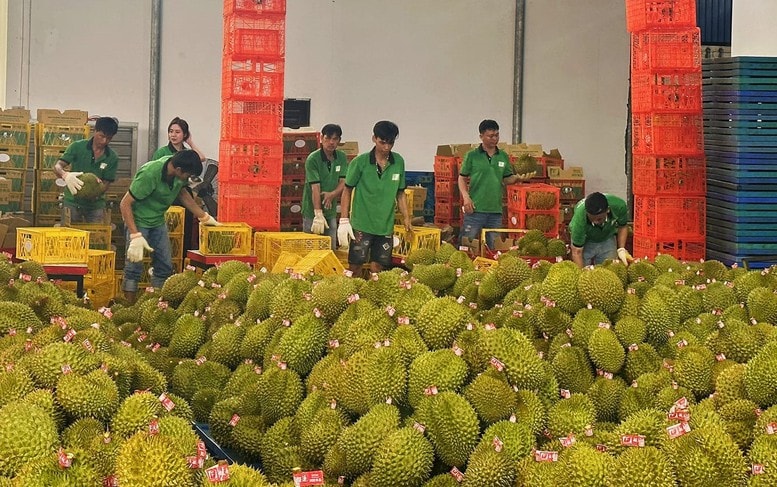 Doanh nghiệp xuất khẩu thực phẩm sang Trung Quốc phải đăng ký theo quy định mới