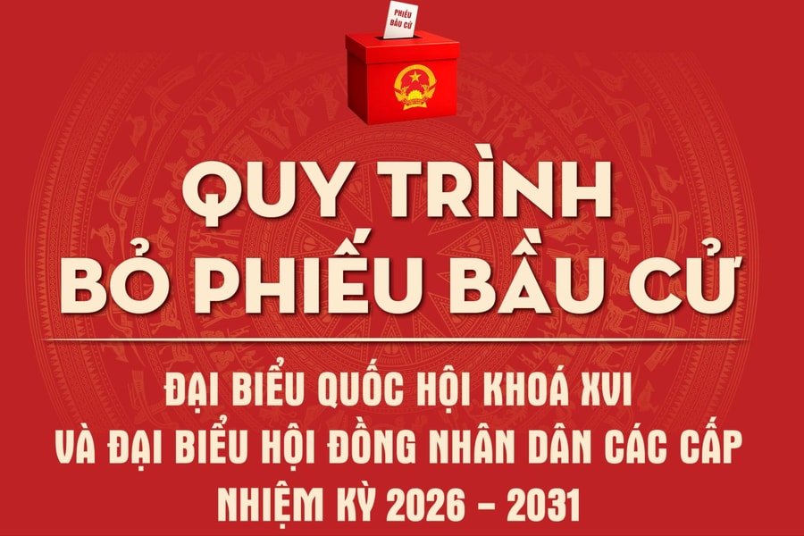 [Infographic] Quy trình bỏ phiếu bầu cử ĐBQH khoá XVI và đại biểu HĐND các cấp nhiệm kỳ 2026 - 2031