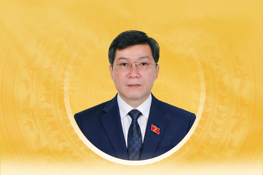 Tiểu sử tóm tắt và chương trình hành động của người ứng cử đại biểu Quốc hội khóa XVI tỉnh Gia Lai Lê Hoàng Anh