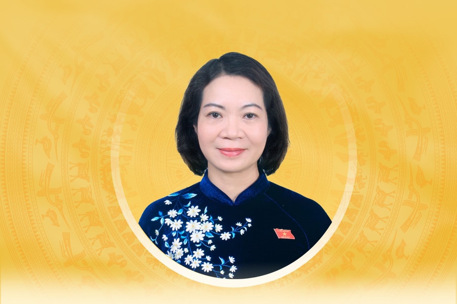 Tiểu sử tóm tắt và chương trình hành động của người ứng cử đại biểu Quốc hội khóa XVI tỉnh Ninh Bình Mai Thị Phương Hoa