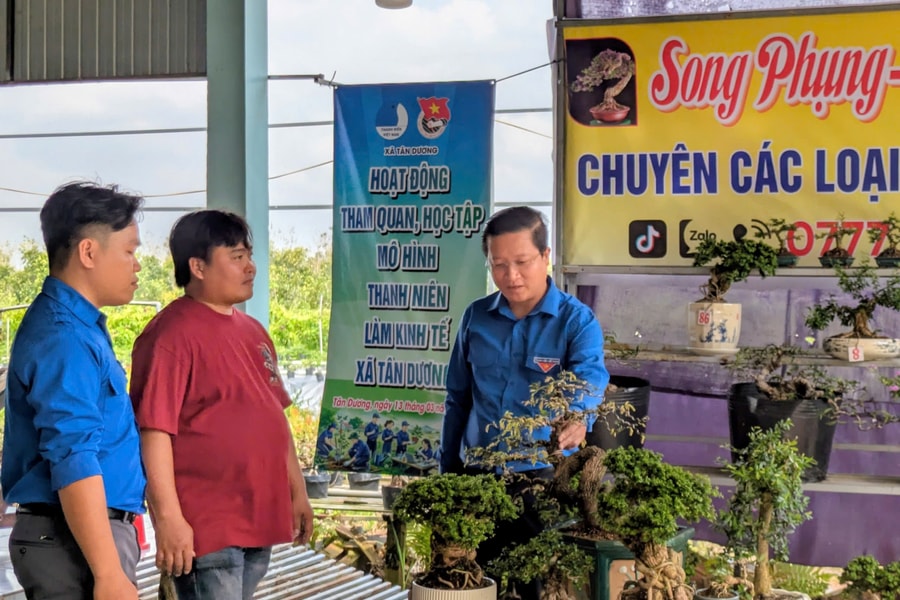 Nhiều hoạt động ý nghĩa trong tuần “Sáng tạo trẻ và Khởi nghiệp” thanh niên Đồng Tháp