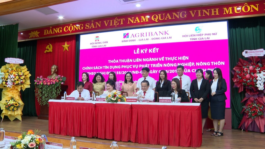 Hợp tác phát triển tín dụng cho nông nghiệp nông thôn tại Gia Lai