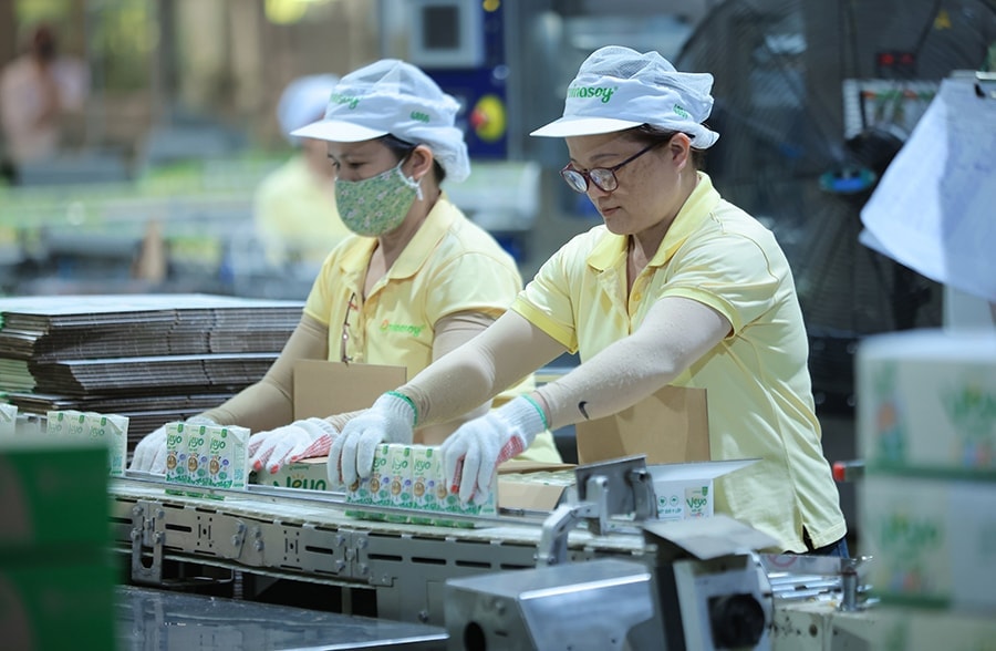 Đường Quảng Ngãi (QNS): Khi “Gã khổng lồ” chấp nhận lùi bước để giữ thị phần