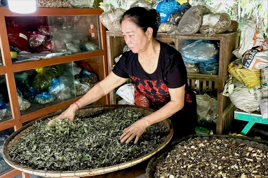 Lào Cai: Tăng cường quản lý hoạt động kinh doanh, quảng cáo, sử dụng dược liệu, thuốc cổ truyền