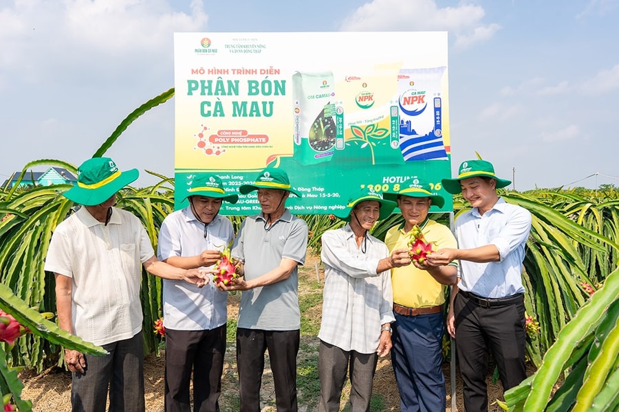 PVCFC hỗ trợ nông dân nâng cao hiệu quả canh tác