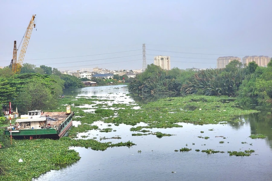 TP. Hồ Chí Minh: Triển khai giải pháp xử lý lục bình, rác trôi dạt vào bãi biển