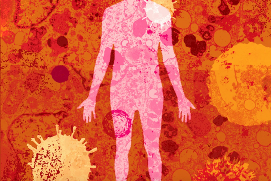 Bất ngờ: Virus có thể “ở lì” trong cơ thể người cả đời mà không gây bệnh