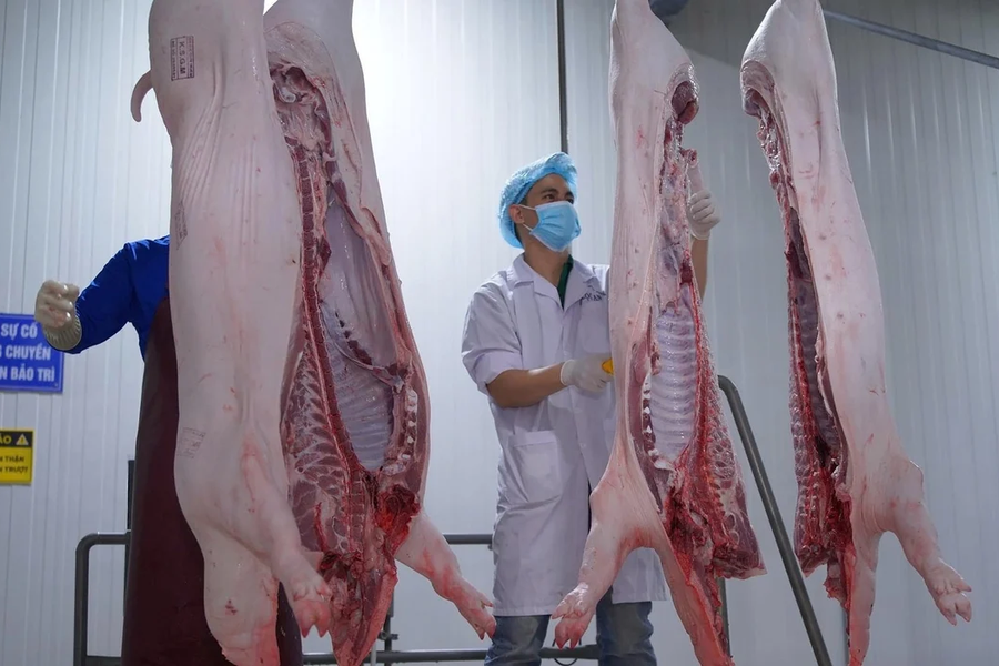 TP. Hồ Chí Minh: Tăng cường kiểm dịch, kiểm soát giết mổ động vật