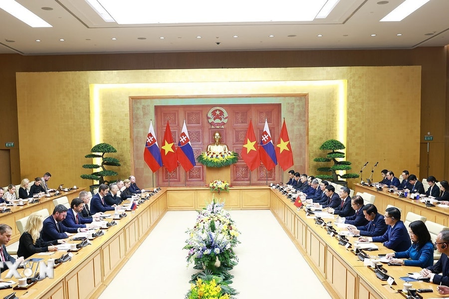 Thủ tướng Chính phủ Lê Minh Hưng hội đàm với Thủ tướng Cộng hòa Slovakia Robert Fico