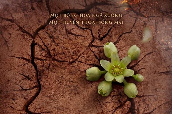 Nữ anh hùng Võ Thị Sáu lên màn ảnh rộng