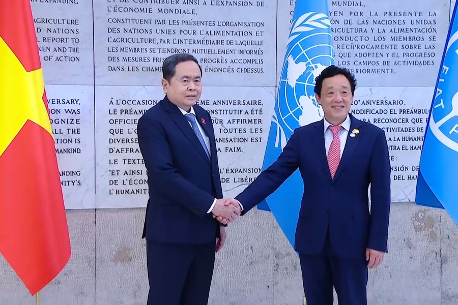 Tăng cường phối hợp, phát huy hiệu quả các chương trình với FAO