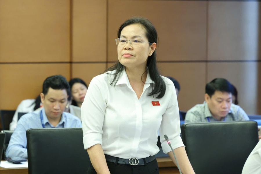Xác định cụ thể phạm vi công việc, bảo đảm hiệu quả chế định luật sư công