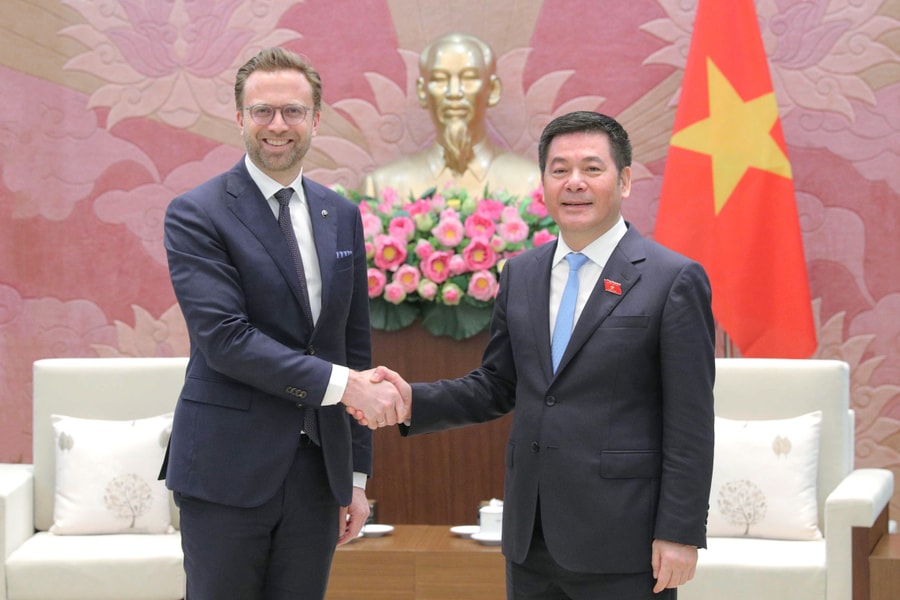 Phó Chủ tịch Quốc hội Nguyễn Hồng Diên tiếp Đoàn đại biểu Ủy ban Nghị viện EFTA
