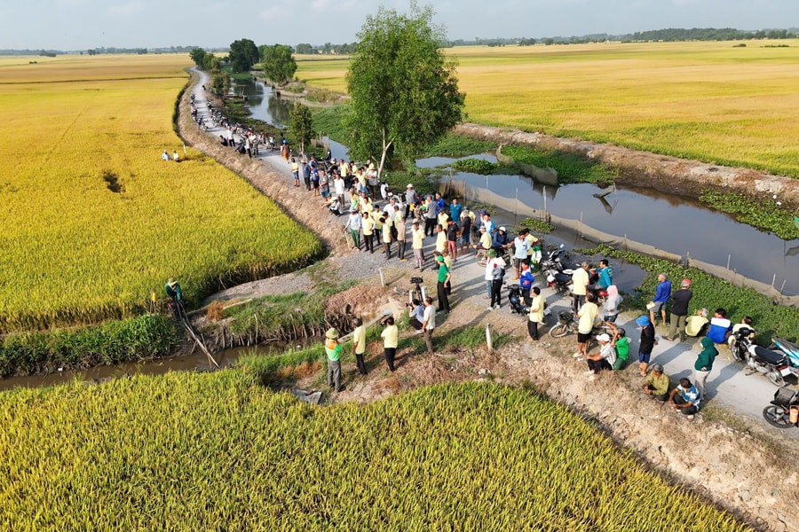 Bí quyết "đất khỏe - cây trồng khỏe" để tiết kiệm chi phí canh tác
