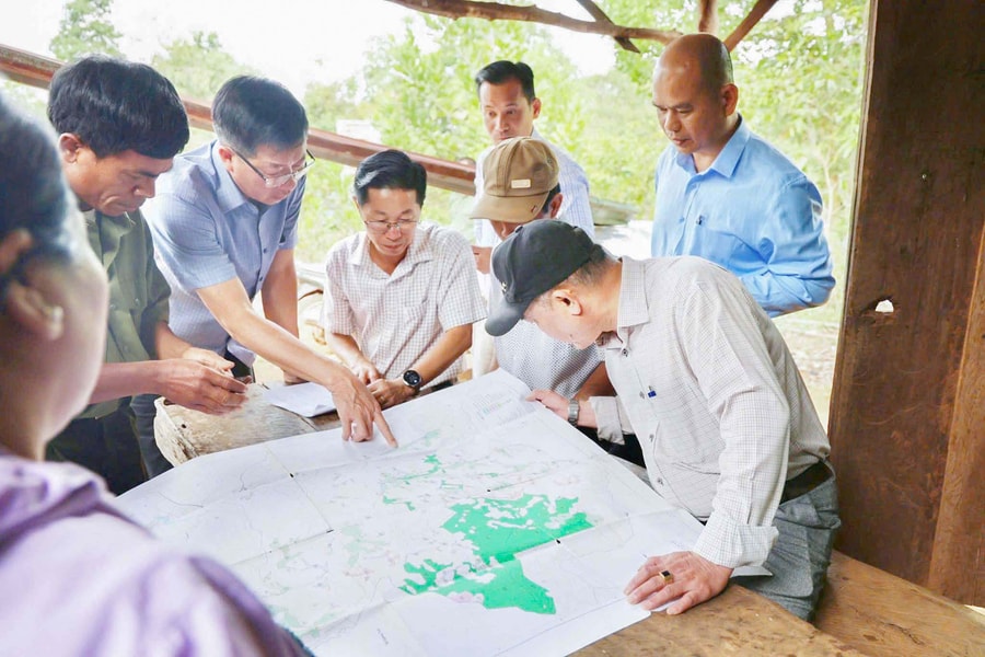 Quyết liệt, đồng bộ bảo vệ, phát triển rừng
