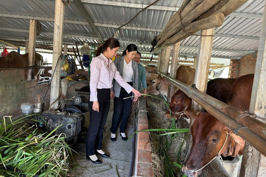 Giảm nghèo ở An Khê