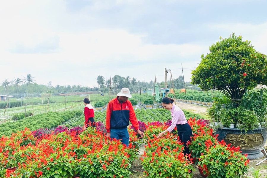 Bài 1: Mùa trái ngọt từ vốn chính sách