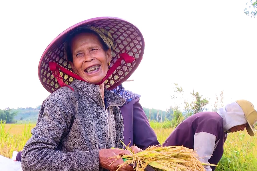 Mùa vàng no ấm nơi vùng biên giới Hướng Lập
