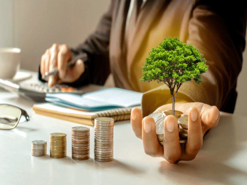 Quy định về hỗ trợ đầu tư đặc biệt mới nhất