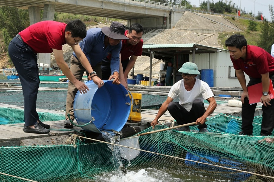Kiến tạo hệ sinh thái bảo hiểm nông nghiệp