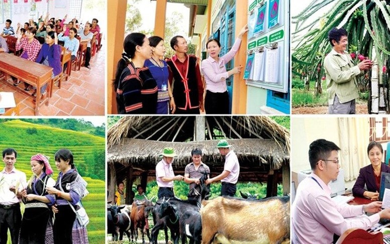Quy chế hoạt động của Ban Chỉ đạo Trung ương Chương trình xây dựng nông thôn mới, giảm nghèo bền vững và phát triển kinh tế - xã hội vùng đồng bào dân tộc