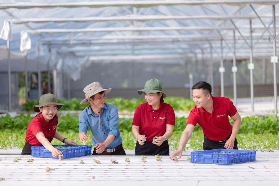 Tín dụng phải đi trước một bước