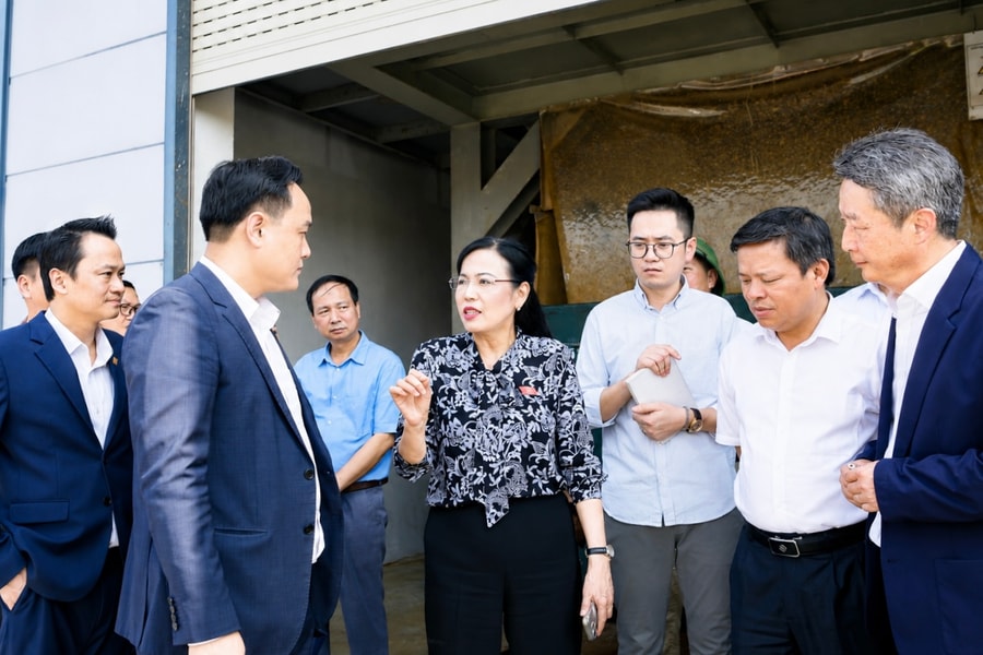 Ủy ban Khoa học, Công nghệ và Môi trường khảo sát về bảo vệ môi trường tại Phú Thọ
