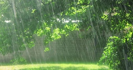 Dự báo thời tiết ngày 8/6: Miền Bắc sắp đón không khí lạnh gây mưa lớn