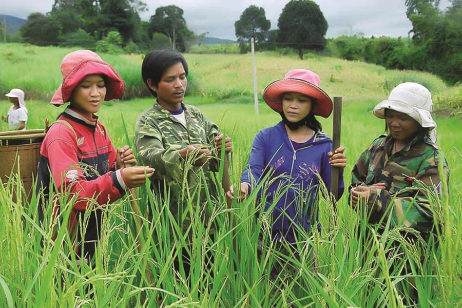 Đề xuất phương án phân bổ vốn thường xuyên cho xây dựng nông thôn mới, giảm nghèo và vùng dân tộc thiểu số