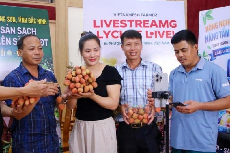 Bắc Ninh: Quảng bá vải thiều và sản phẩm OCOP thông qua ứng dụng AI