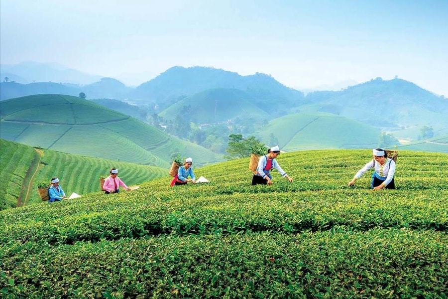 Thái Nguyên: Lấy văn hóa bản địa kiến tạo mũi nhọn kinh tế du lịch