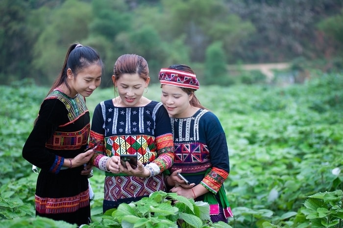 Hướng tới mục tiêu mọi người dân đều có cơ hội tiếp cận thông tin, tri thức và dịch vụ số