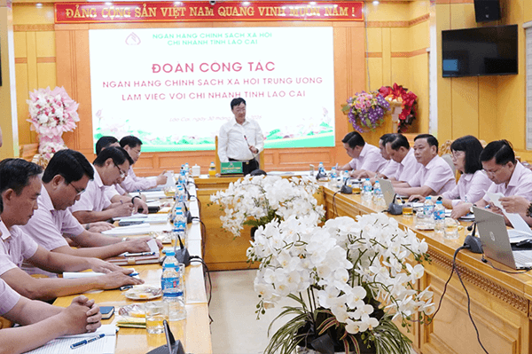 NHCSXH tỉnh Lào Cai: Tiếp tục củng cố, nâng cao chất lượng hoạt động tín dụng chính sách
