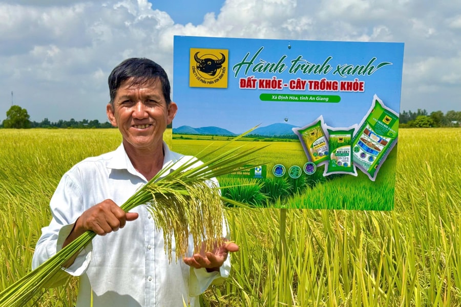 Đất khỏe hôm nay, mùa vàng ngày mai