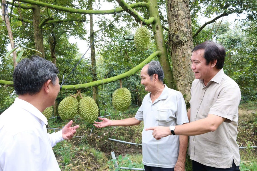 Đồng Tháp xây dựng, phát triển thương hiệu sản phẩm nông nghiệp chủ lực