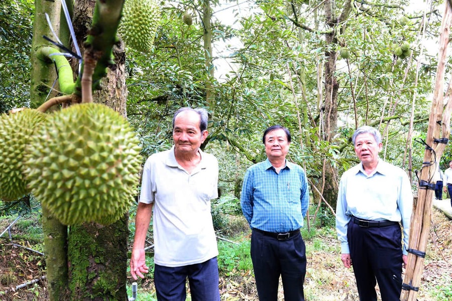 Đồng Tháp làm gì để nông sản vươn xa, đời sống nông dân khấm khá hơn?