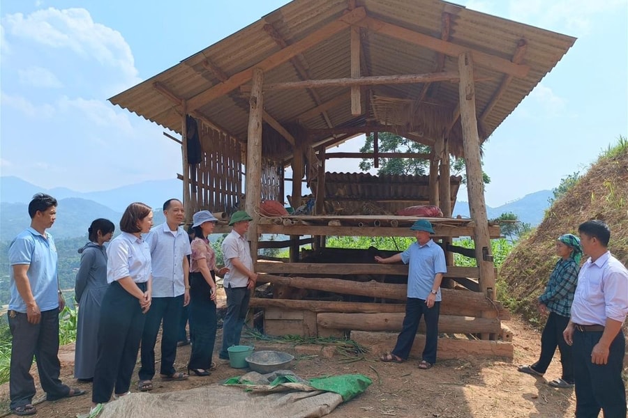 Lấy ý kiến những người nắm bắt được “hơi thở” chính sách