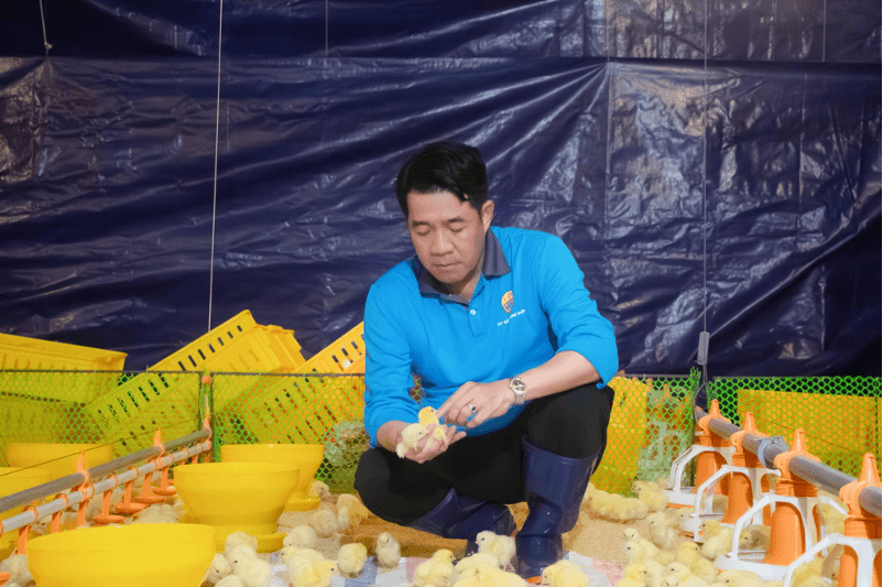 Vận hành tổ hợp gà thịt ứng dụng công nghệ Châu Âu tại Tây Ninh