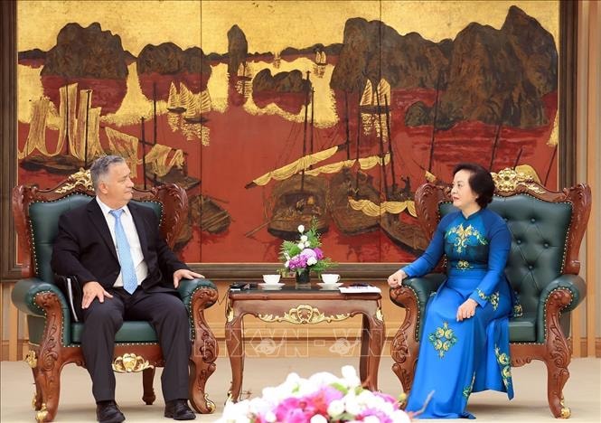 Phó Thủ tướng Phạm Thị Thanh Trà: Việt Nam mong muốn VNCA tăng cường hợp tác tìm kiếm, quy tập hài cốt liệt sĩ