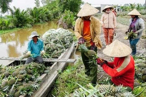 Đồng Tháp: Phấn đấu trước năm 2030 không còn hộ nghèo