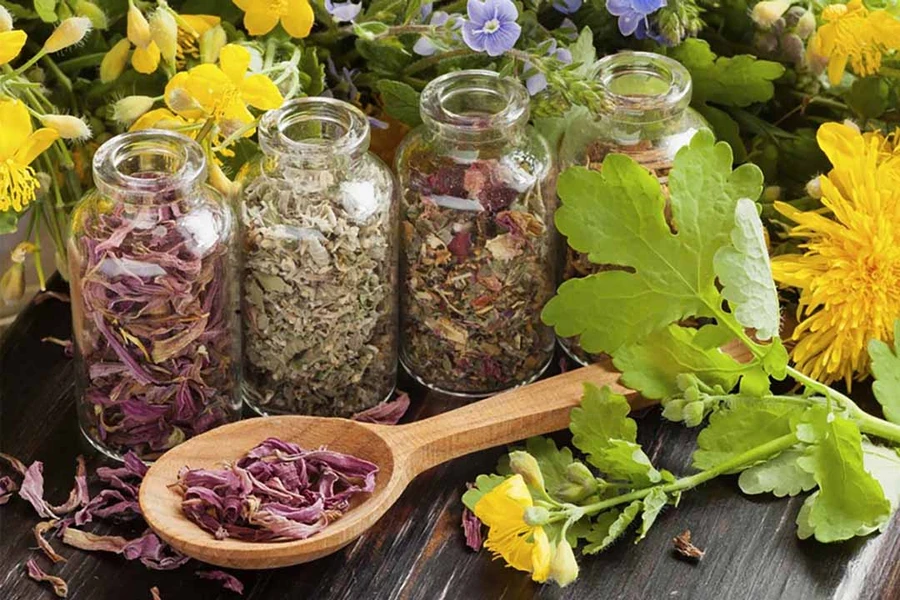 Cần chính sách khuyến khích ứng dụng KHCN nâng tầm giá trị dược liệu Việt Nam