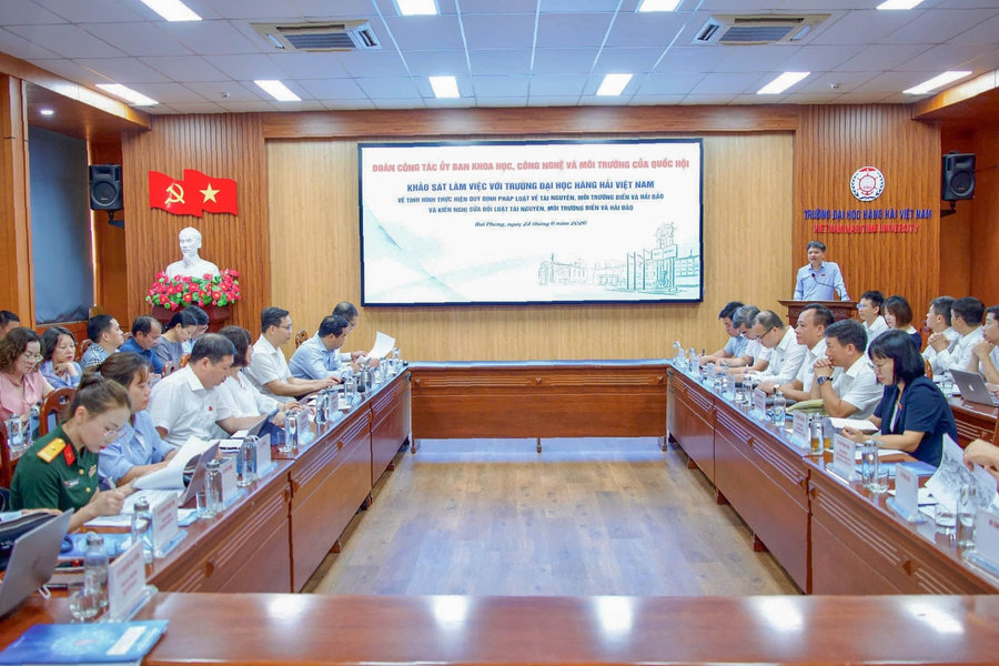 Cần hoàn thiện quy định về kiểm soát nước dằn tàu và an toàn sinh học cảng biển