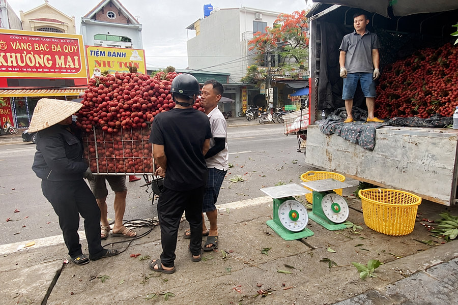 Bắc Ninh thu gần 6.000 tỷ đồng nhờ giá vải thiều cao
