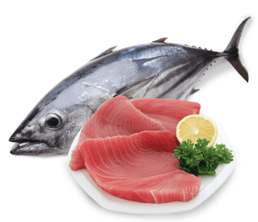 Ăn cá ngừ, người đàn ông bất ngờ rơi vào phản vệ nặng