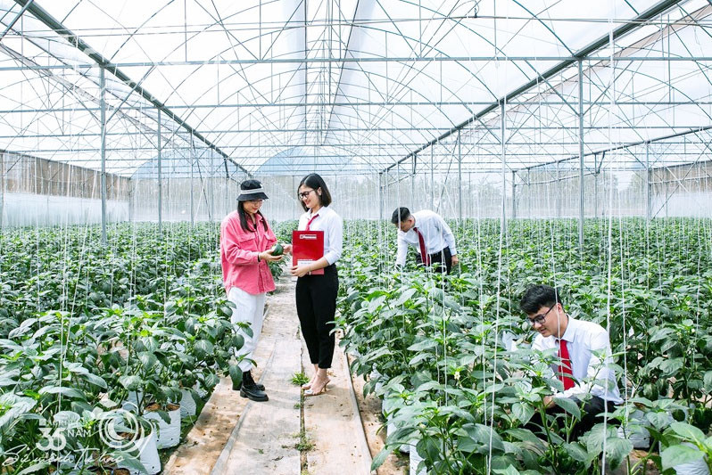 Bài 1: Dẫn vốn quốc tế về quê hương